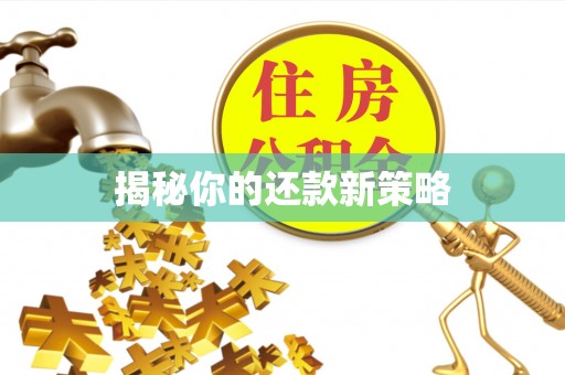 望花揭秘你的还款新策略