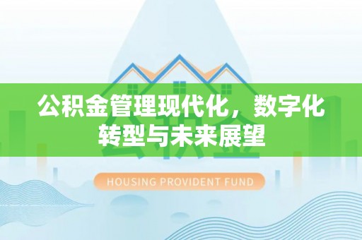 望花公积金管理现代化，数字化转型与未来展望
