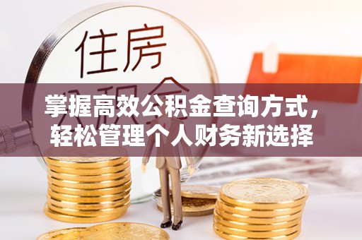 望花掌握高效公积金查询方式，轻松管理个人财务新选择