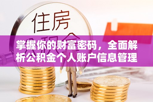 望花掌握你的财富密码，全面解析公积金个人账户信息管理