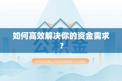 望花如何高效解决你的资金需求？