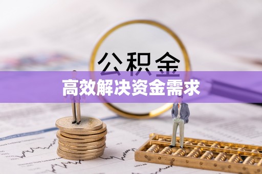 望花高效解决资金需求