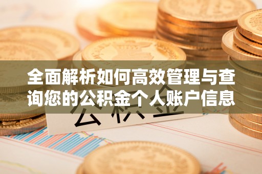 望花全面解析如何高效管理与查询您的公积金个人账户信息