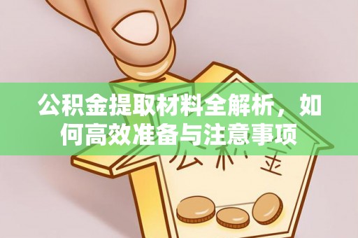 望花公积金提取材料全解析，如何高效准备与注意事项