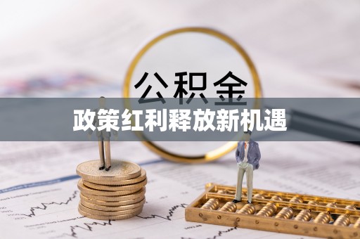 望花政策红利释放新机遇