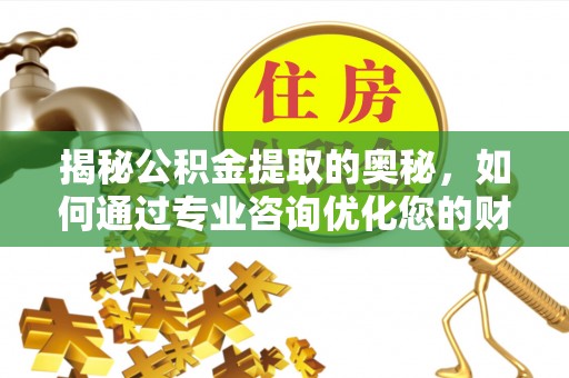 望花揭秘公积金提取的奥秘，如何通过专业咨询优化您的财务规划